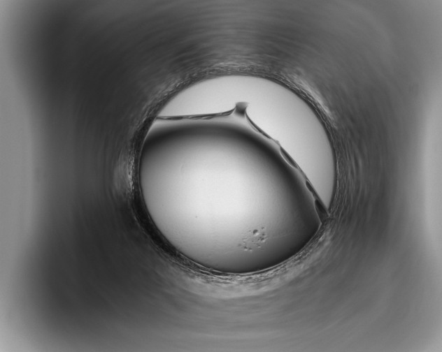 X0000096200023200802081549