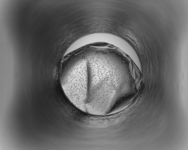 X0000096200029200802081549