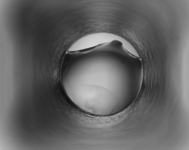 X0000096200031200802081549