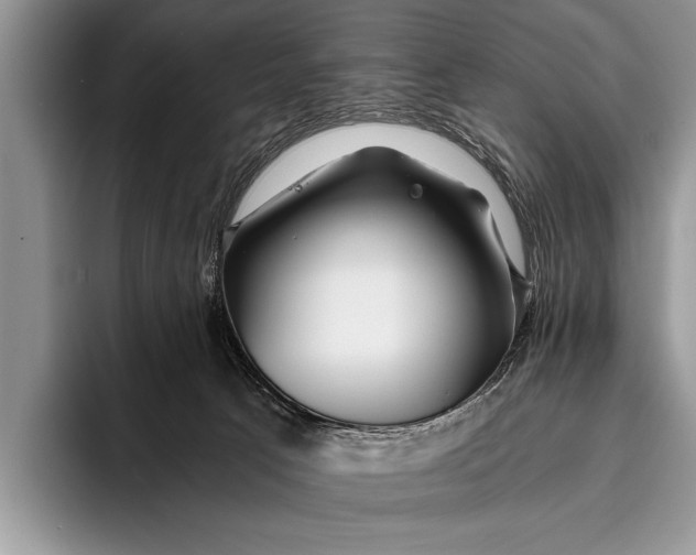 X0000096200033200802081549