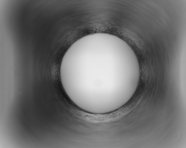 X0000096200034200802081549