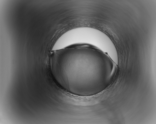 X0000096200035200802081549