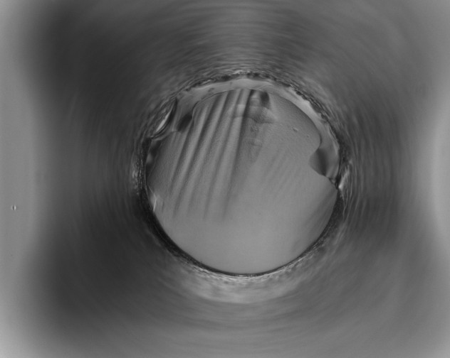 X0000096200039200802081549