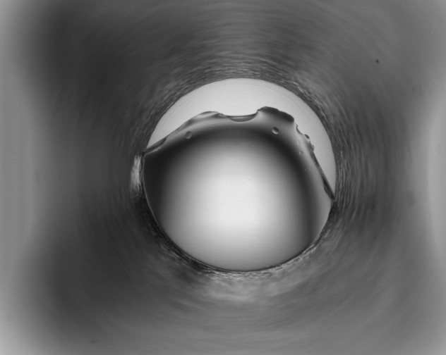 X0000096200041200802081549