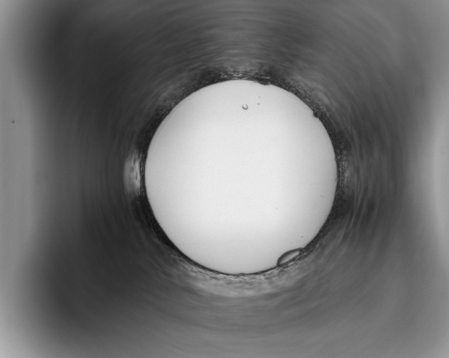 X0000096200042200802081549