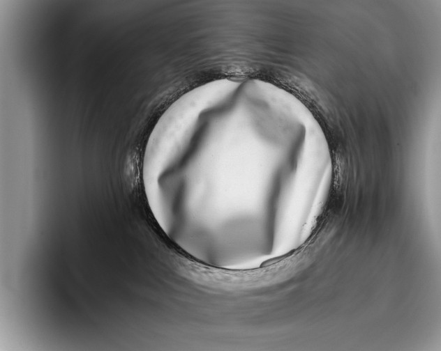 X0000096200043200802081549