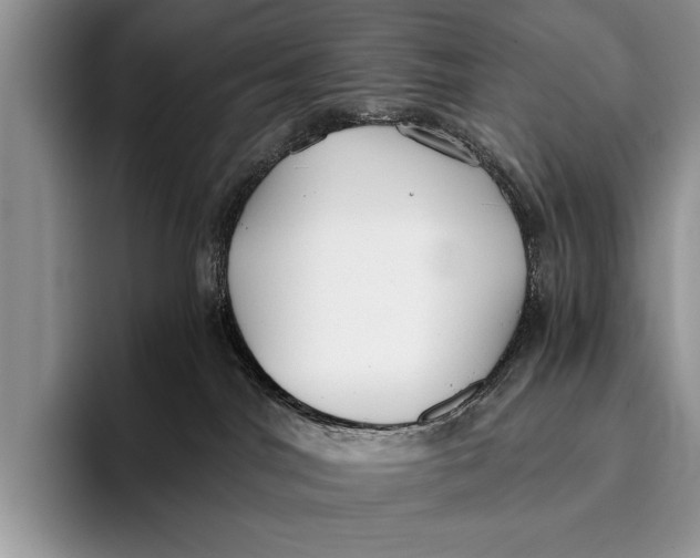 X0000096200044200802081549