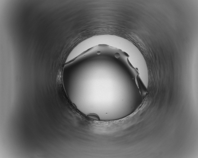 X0000096200045200802081549