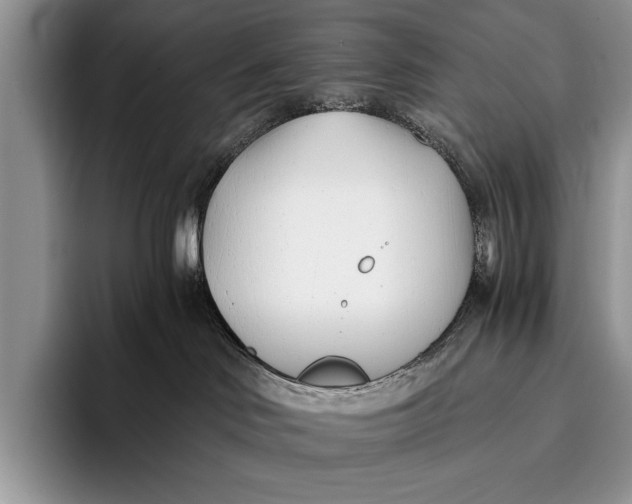 X0000096200046200802081549