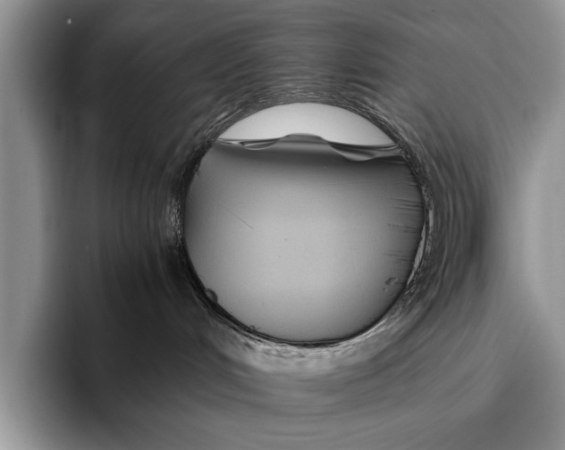 X0000096200048200802081549