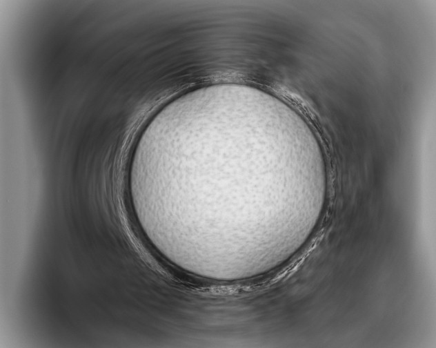 X0000096200049200802081548