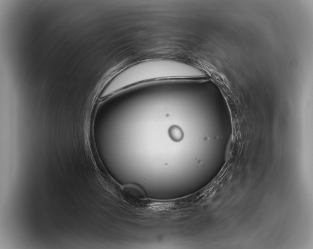 X0000096200051200802081548