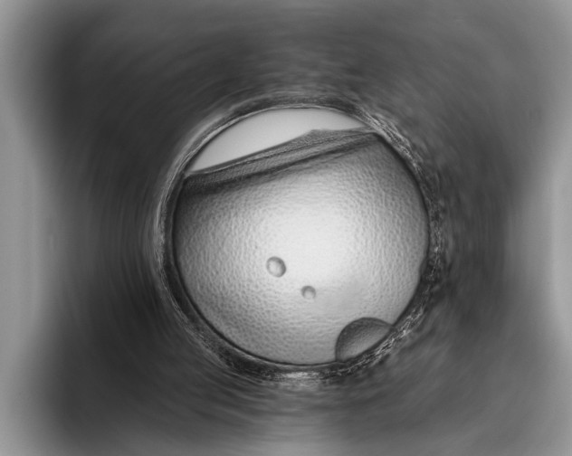 X0000096200053200802081548