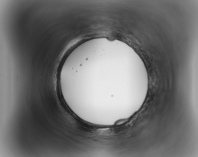 X0000096200054200802081548