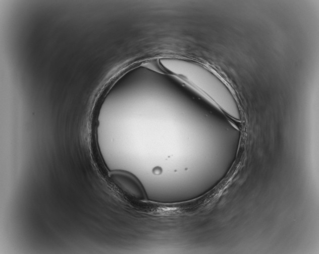 X0000096200055200802081548