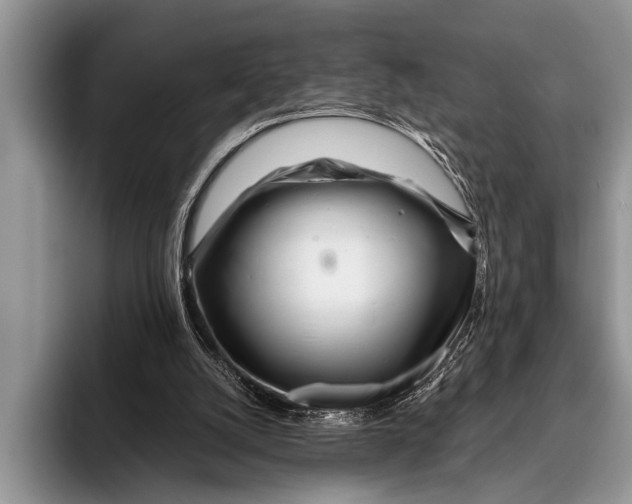 X0000096200056200802081548