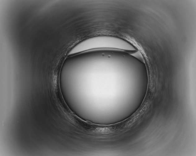 X0000096200057200802081548