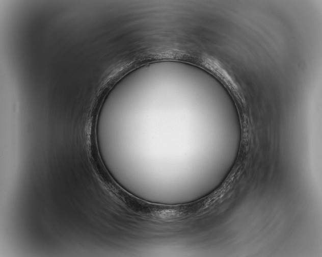 X0000096200058200802081548