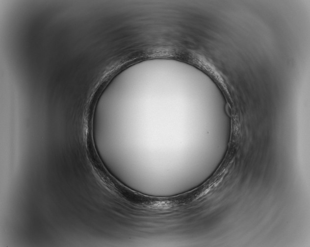 X0000096200059200802081548