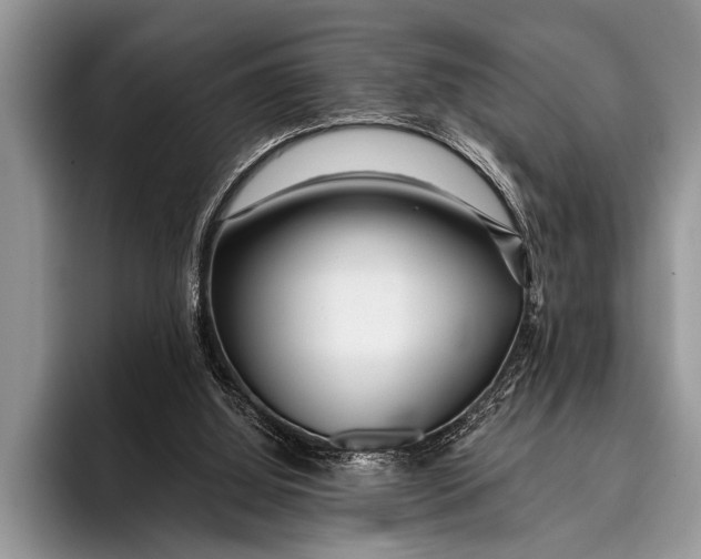 X0000096200060200802081548