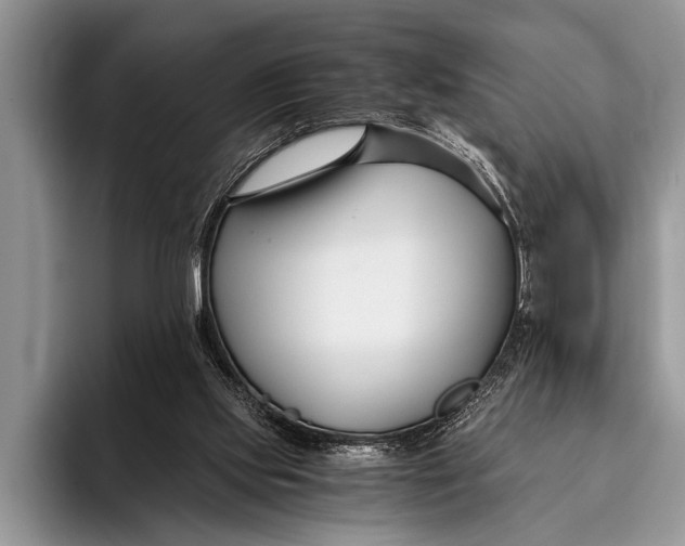 X0000096200061200802081548