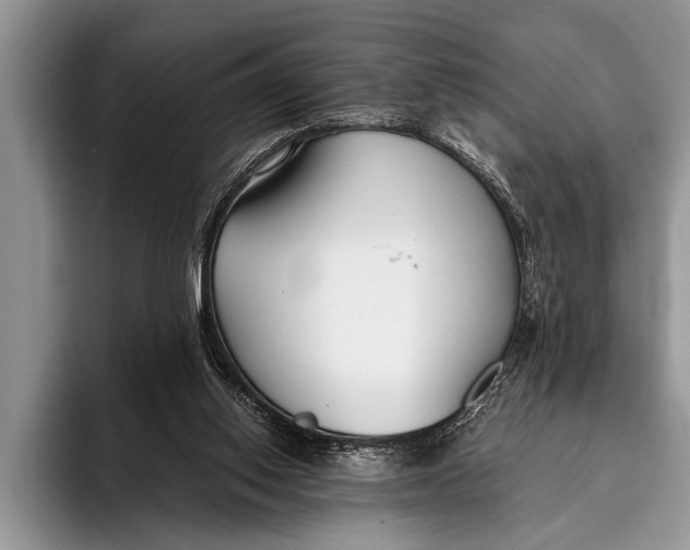 X0000096200062200802081548