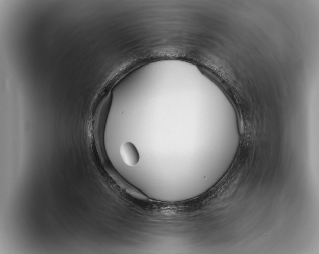 X0000096200064200802081548