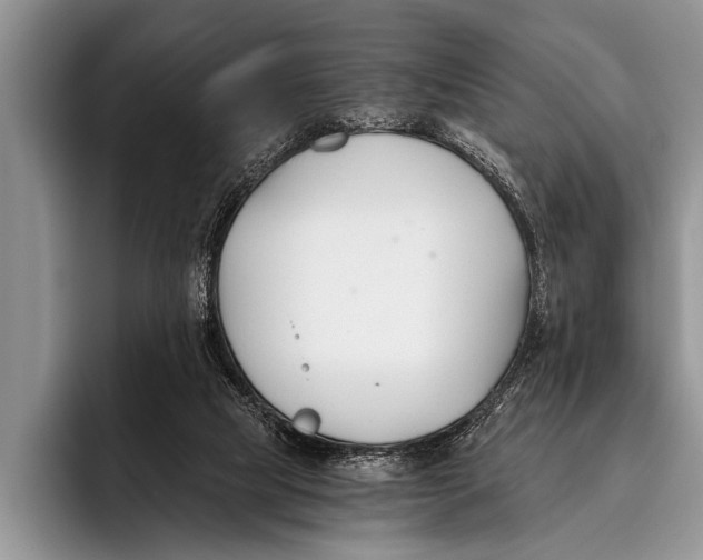 X0000096200065200802081548