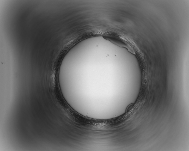 X0000096200066200802081548