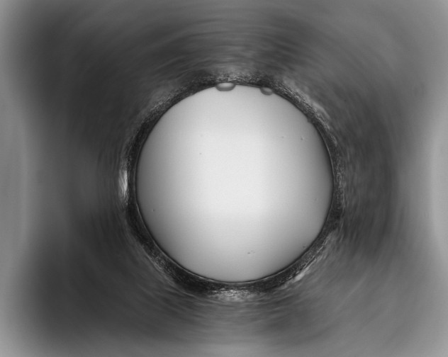 X0000096200067200802081548