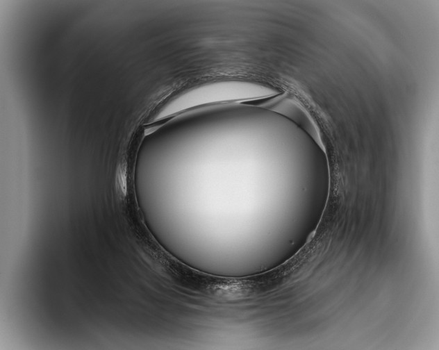 X0000096200068200802081548