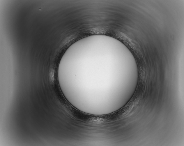 X0000096200071200802081548