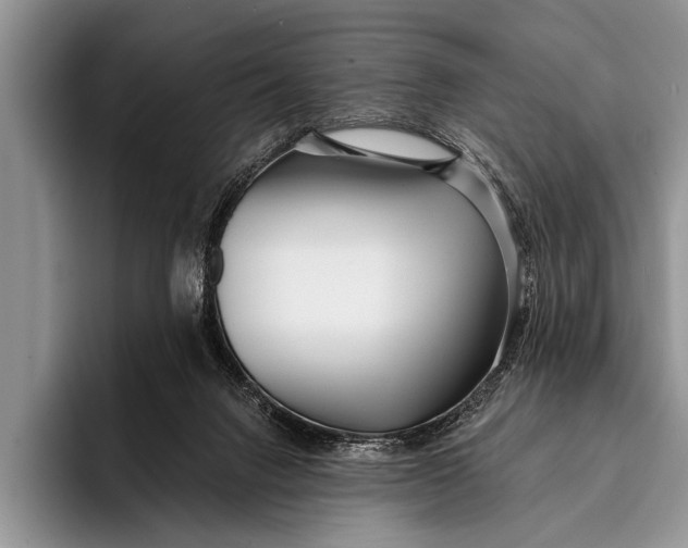 X0000096200072200802081548