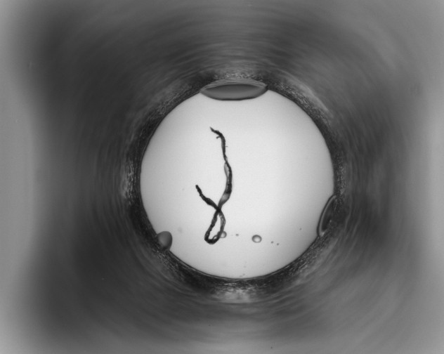 X0000096200073200802081548