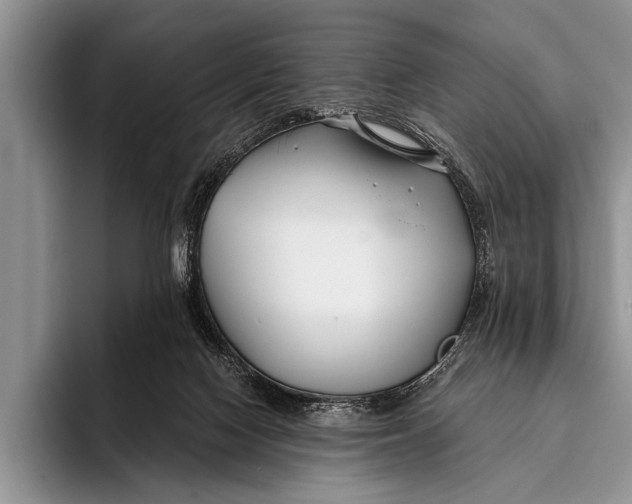 X0000096200074200802081548