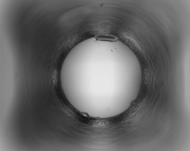 X0000096200077200802081549