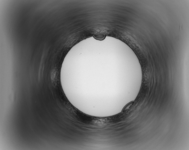 X0000096200079200802081549