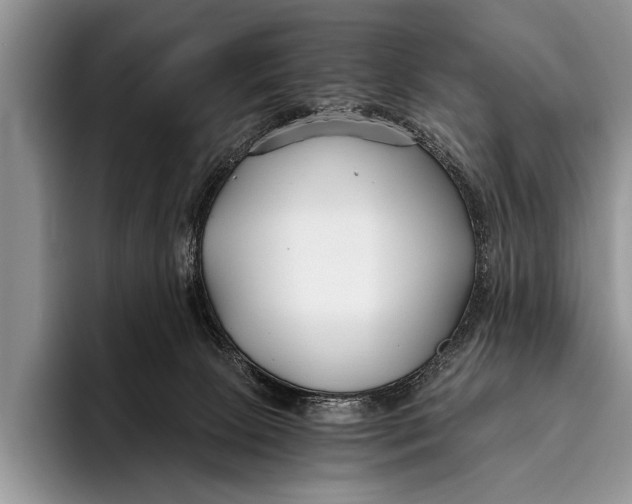 X0000096200081200802081549