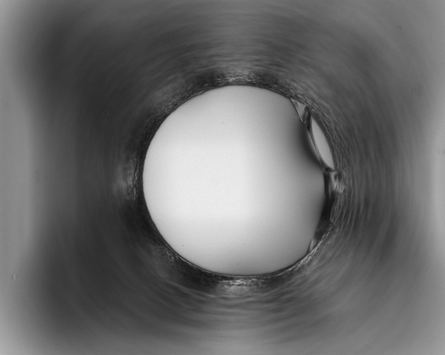 X0000096200082200802081549