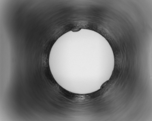 X0000096200083200802081549