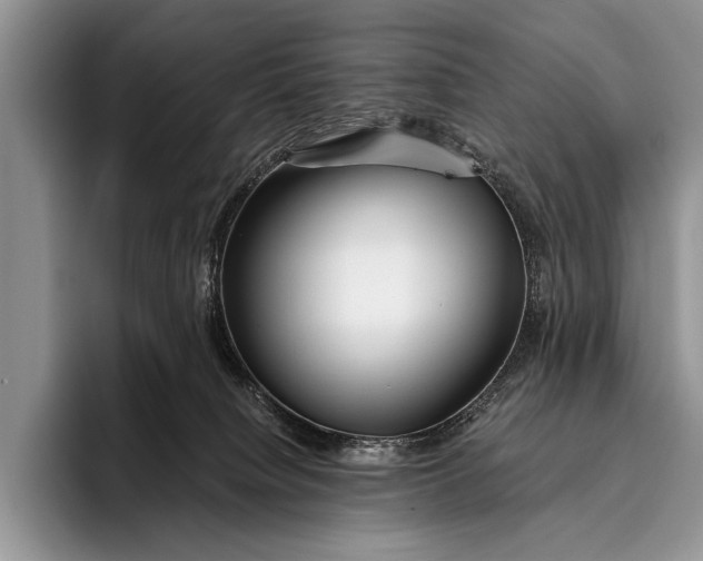 X0000096200084200802081549