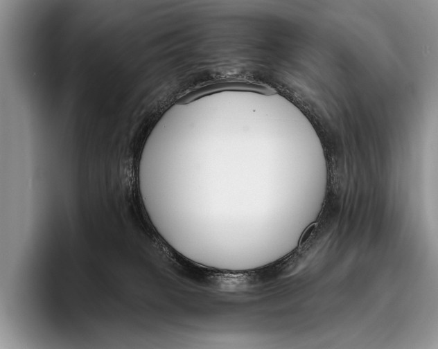 X0000096200085200802081549