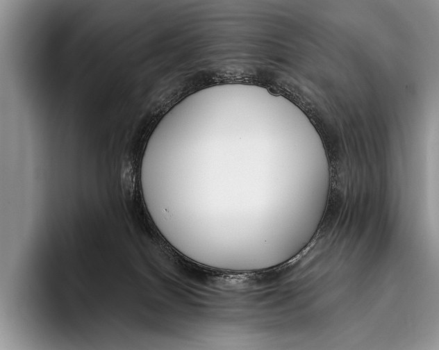 X0000096200086200802081549