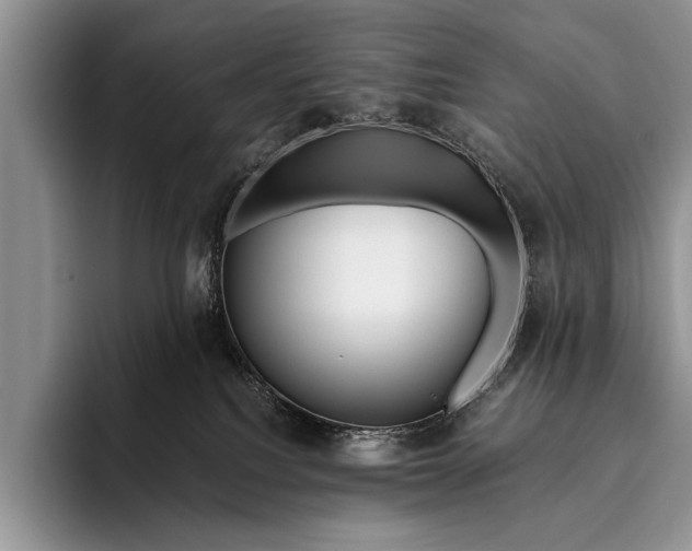 X0000096200088200802081549