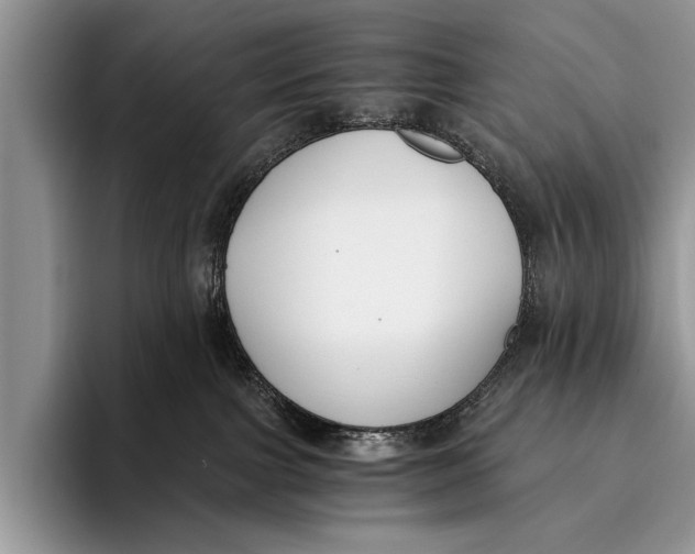 X0000096200091200802081549