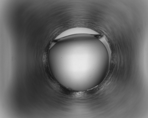 X0000096200092200802081549