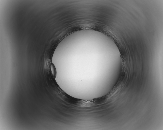 X0000096200093200802081549