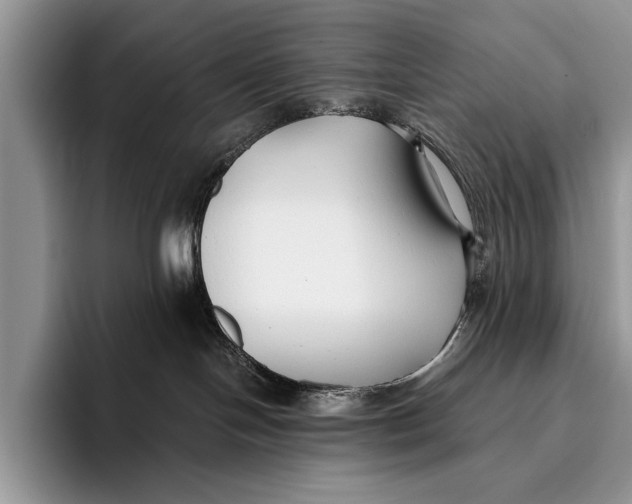 X0000096200094200802081549