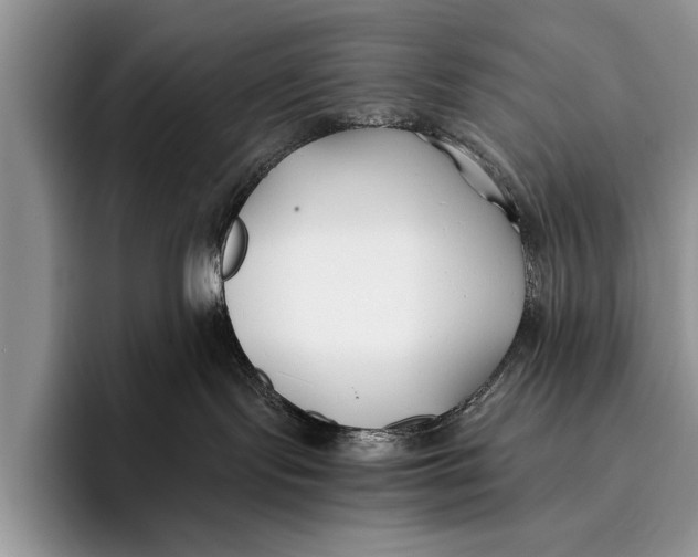 X0000096200095200802081549