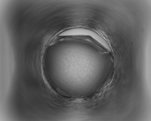 X0000096200097200802081548